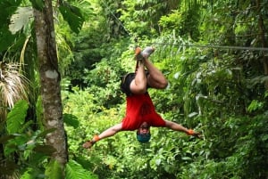 Manuel Antonio Quepos Zip Lining Tour with Lunch