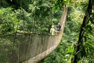 Manuel Antonio: Tour del ponte e delle cascate del parco Rainmaker