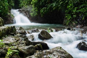 Manuel Antonio: Visita à Ponte e Cascata do Parque Rainmaker