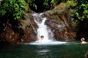 Manuel Antonio: Tour del ponte e delle cascate del parco Rainmaker
