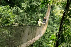 Manuel Antonio: Rainmaker Park Bridge & Waterfall Tour
