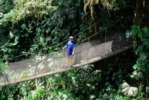 Manuel Antonio: Excursión al Puente y la Cascada del Parque Rainmaker