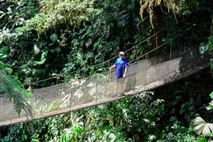 Manuel Antonio: Excursión al Puente y la Cascada del Parque Rainmaker