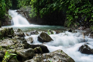 Manuel Antonio: Excursión al Puente y la Cascada del Parque Rainmaker