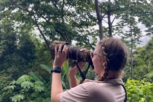 Manuel Antonio: Scarlet Macaw Tour with Professional Photos