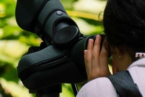 Manuel Antonio: Scarlet Macaw Tour with Professional Photos