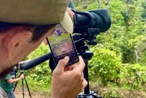 Manuel Antonio: Scarlet Macaw Tour with Professional Photos