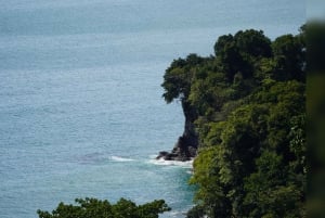 Manuel Antonio: Scarlet Macaw Tour with Professional Photos