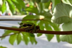 Manuel Antonio, tour privato specializzato