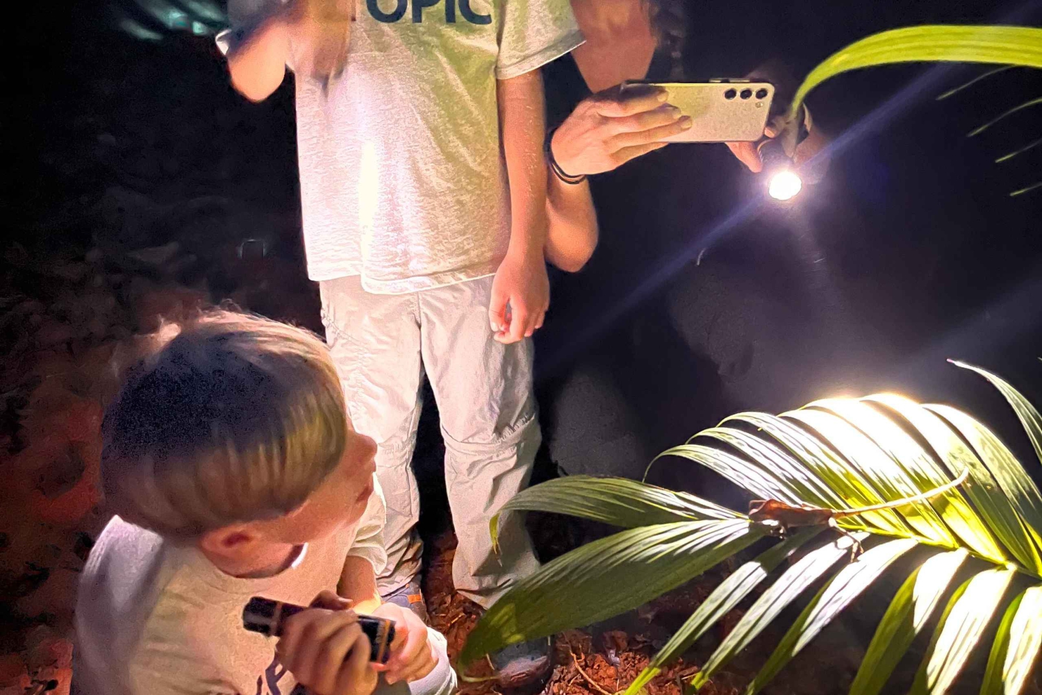 Manuel Antonio Step into the wild after dark