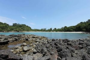 Lekcje surfingu w Manuel Antonio