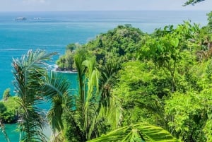 Manuel Antonio: Costa Rica: 5 parasta tekemistä Kaikki matkat-Costa Rica
