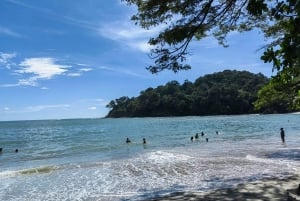 Manuel Antonio: the best tour to see sloths in Manuel Antonio Park