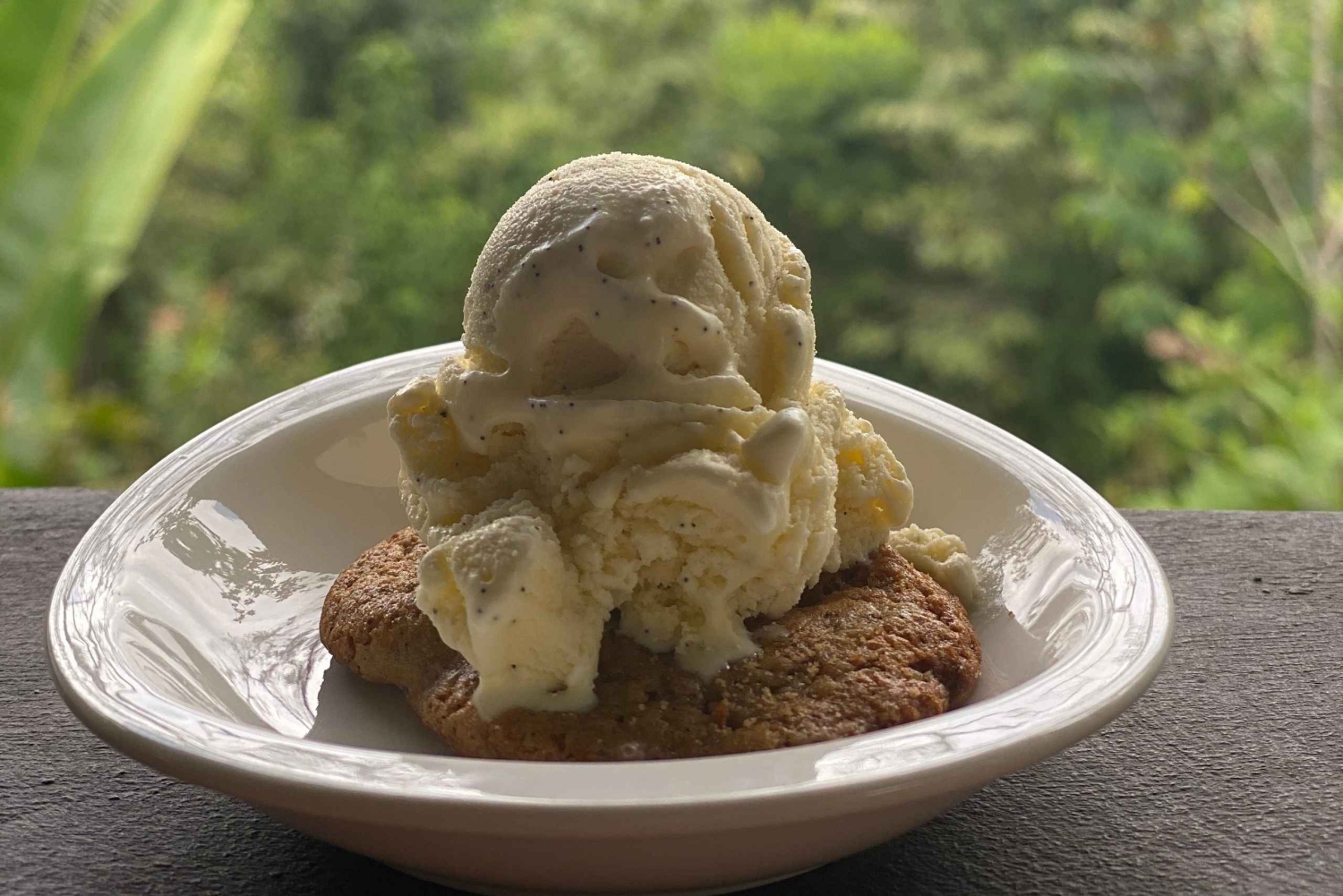 Мануэль Антонио: тур со специями на вилле «Ваниль»