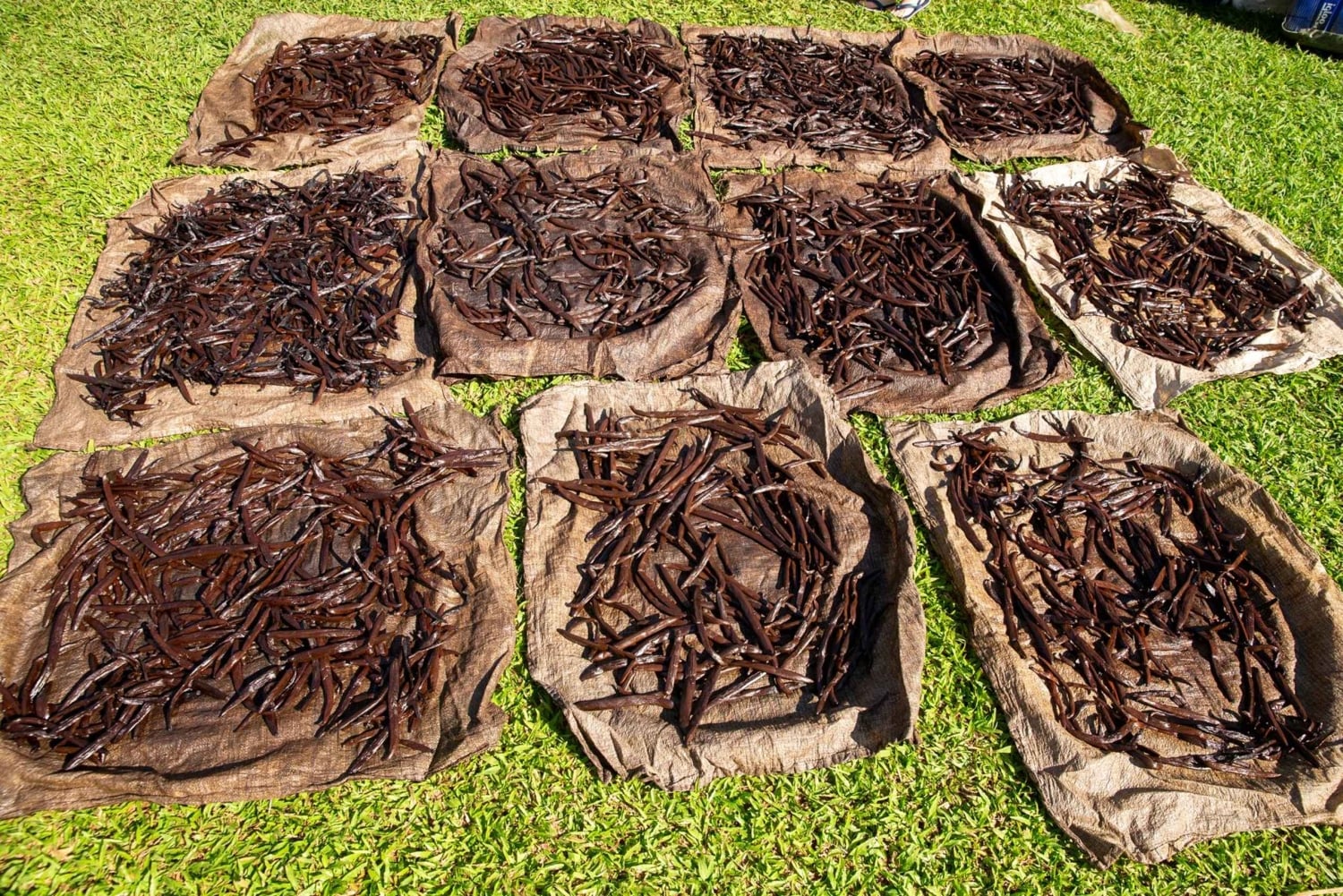 Мануэль Антонио: тур со специями на вилле «Ваниль»