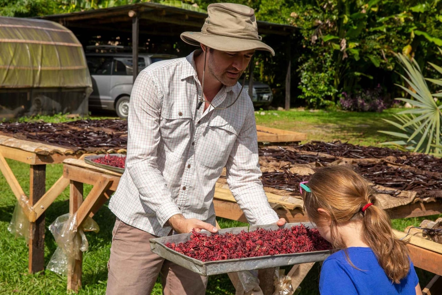 Мануэль Антонио: тур со специями на вилле «Ваниль»