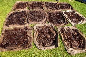 Мануэль Антонио: тур со специями на вилле «Ваниль»