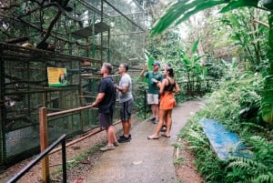 Manuel Antonio: Volunteer for a Day at a Wildlife Sanctuary