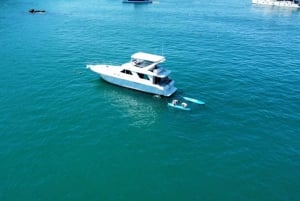 Manuel Antonio, whale whatching, all inclusive private yacht