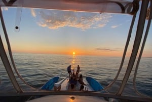 Manuel Antonio, whale whatching, all inclusive private yacht