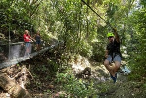 Manuel Antonio: Zipline Canopy Tour with Butterfly Garden