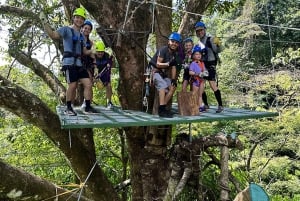 Manuel Antonio: Zipline Canopy Tour with Butterfly Garden