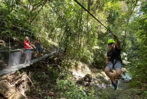 Manuel Antonio: Zipline Canopy Tour mit Schmetterlingsgarten