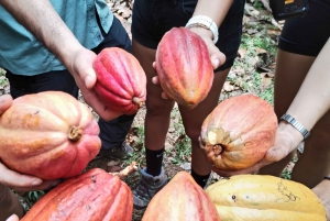 Manzanillo, Costa Rica: Terapia de Banho na Floresta