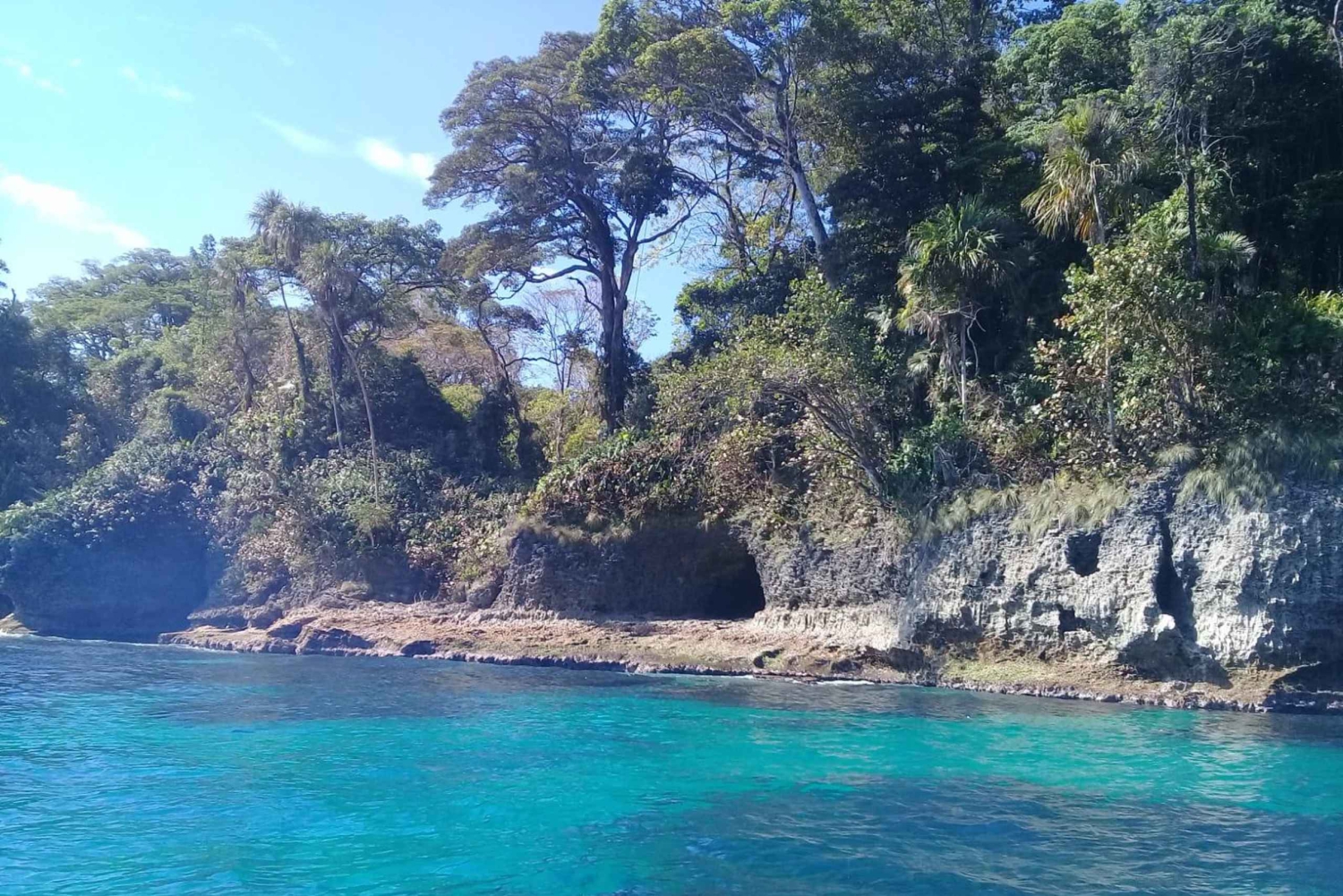 Мансанильо: наблюдение за дельфинами и пляж Пунта-Мона