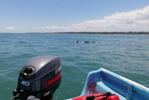 Manzanillo: Delfiinien katselu ja Punta Monan ranta