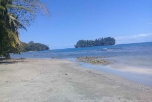 Manzanillo: Delfiinien katselu ja Punta Monan ranta