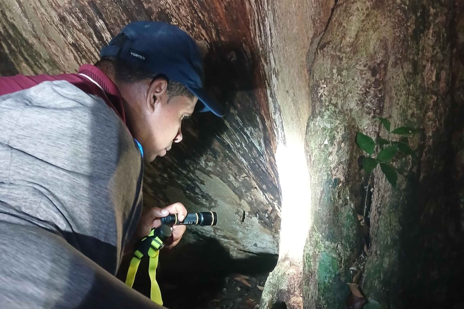 Manzanillo: Night Jungle Tour with Wildlife Spotting