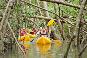 Uvita : Parc national Marino Ballena Kayak de mer et plongée en apnée