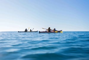 Uvita: Parque Nacional Marino Ballena: caiaque no mar e mergulho com snorkel