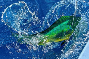 Marino Ballenan kansallispuisto: Urheilukalastus (koko päivä)