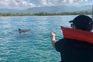 Marino Ballena National Park: Watching Whales and Dolphins