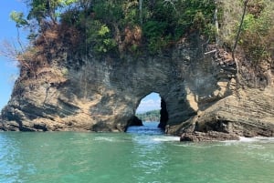 Marino Ballena National Park: Watching Whales and Dolphins