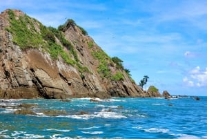 Marino Ballena National Park: Whale Watching Boat Tour