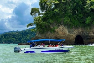 Marino Ballena National Park: Whale Watching Boat Tour