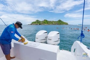 Marino Ballena National Park: Whale Watching Boat Tour