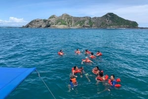 Marino Ballena National Park: Whale Watching Boat Tour