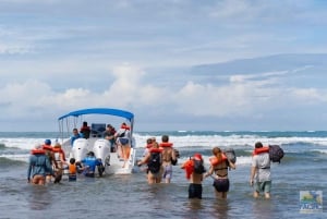 Marino Ballena National Park: Whale Watching Boat Tour