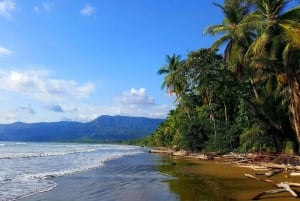 Marino Ballena National Park: Whale Watching In Uvita