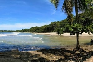 Marino Ballena National Park: Whale Watching In Uvita