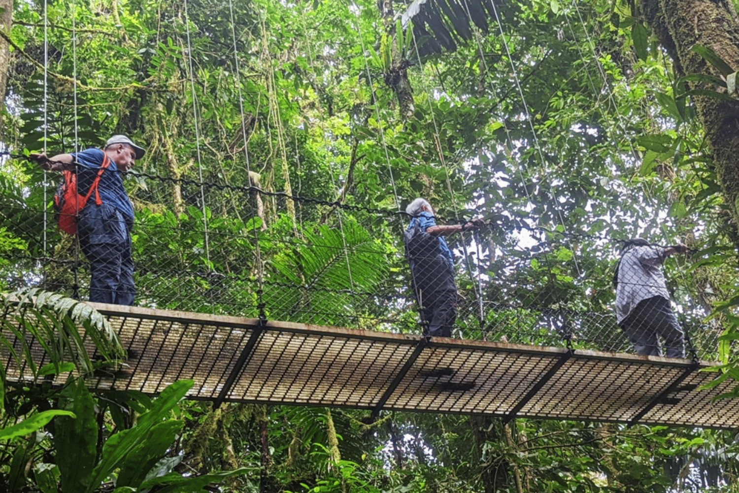 Mistico-riippusillat Arenalissa