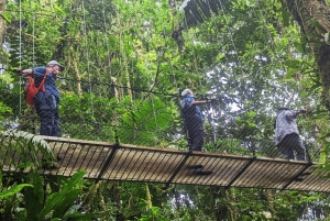 Mistico-riippusillat Arenalissa