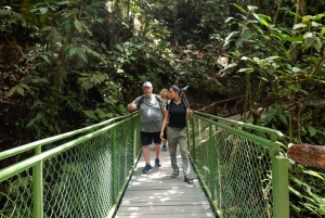 Mistico-riippusillat Arenalissa