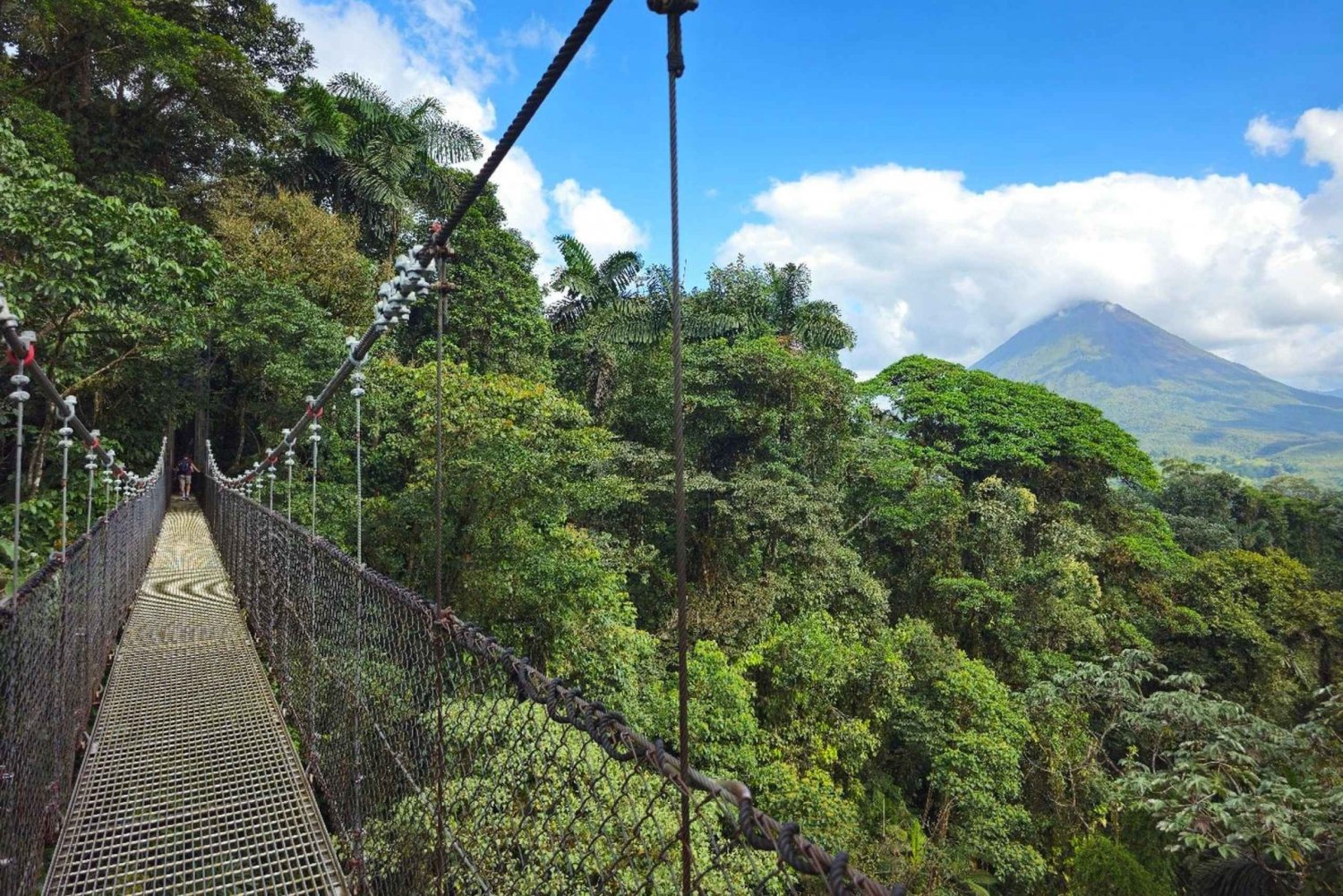 Mistico Hanging Bridges + Transportation + Naturalist Guide