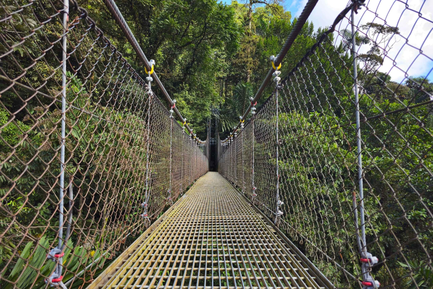 Ponts suspendus de Mistico + transport + guide naturaliste