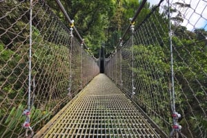 Pontes suspensas de Mistico + transporte + guia naturalista